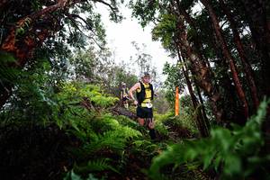 BIB: 
                            <button type="button" onclick="openModal(26204121)" class="btn btn-primary btn-sm float-right btn-popup" data-toggle="modal" data-target=".modal-high-quality">
                        <i class="fas fa-shopping-cart"></i> Add to Cart
                    </button>
                                            <button type="button" onclick="isThisMe(26204121, true)" class="btn btn-success btn-sm float-right btn-popup btn-isme hidden" data-toggle="tooltip" data-placement="bottom" title="นี่คือรูปของคุณใช่ไหม คลิกที่นี่เพื่อเอาเข้าอัลบั้ม">
                        <i class="fas fa-plus"></i> Add to album
                    </button>
                    <button type="button" onclick="isThisMe(26204121, false)" class="btn btn-warning btn-sm float-right btn-popup btn-isnotme hidden">
                        <i class="fas fa-ban"></i> Remove from album
                    </button>